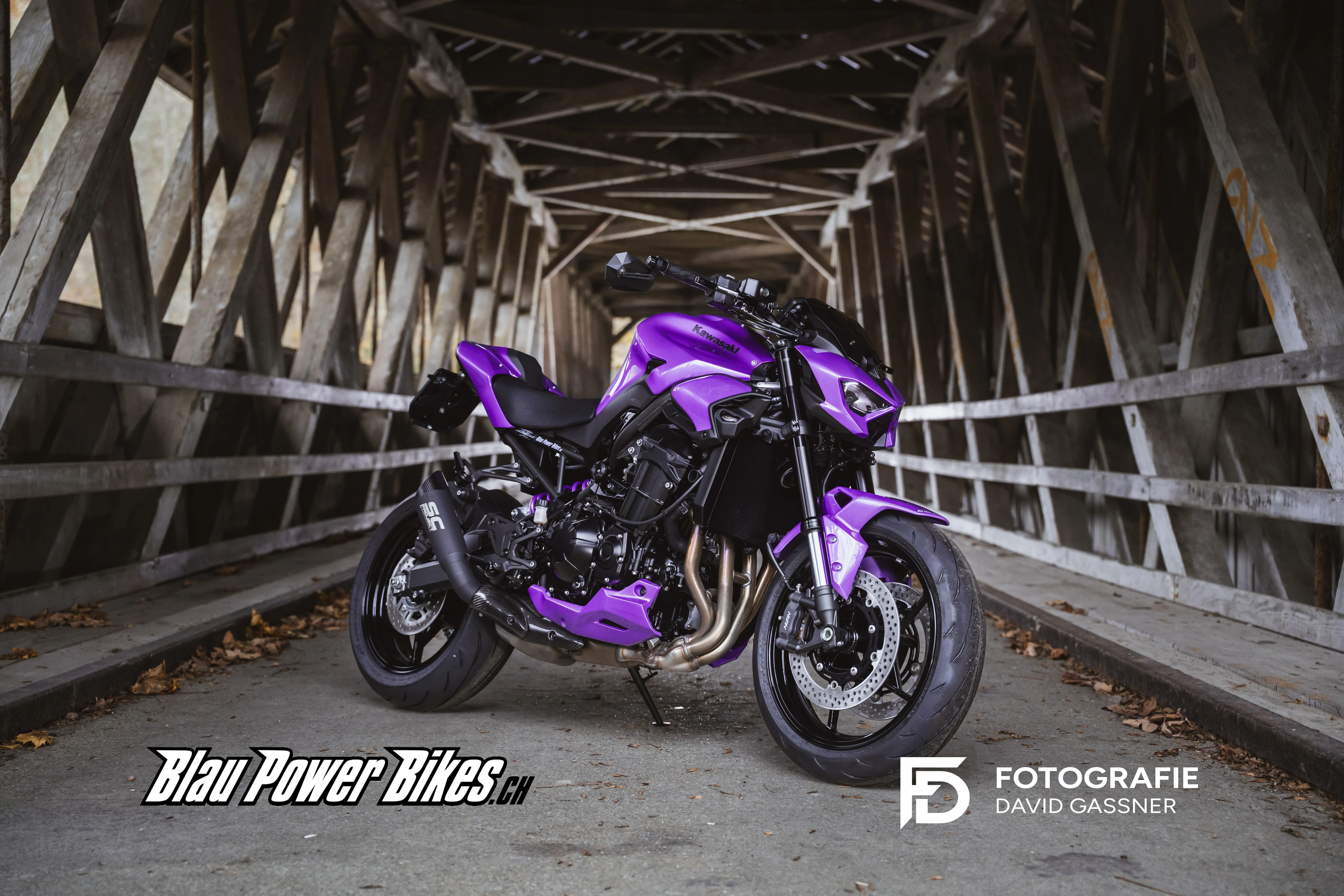 Z900 / MY26 Ultra-Violett
