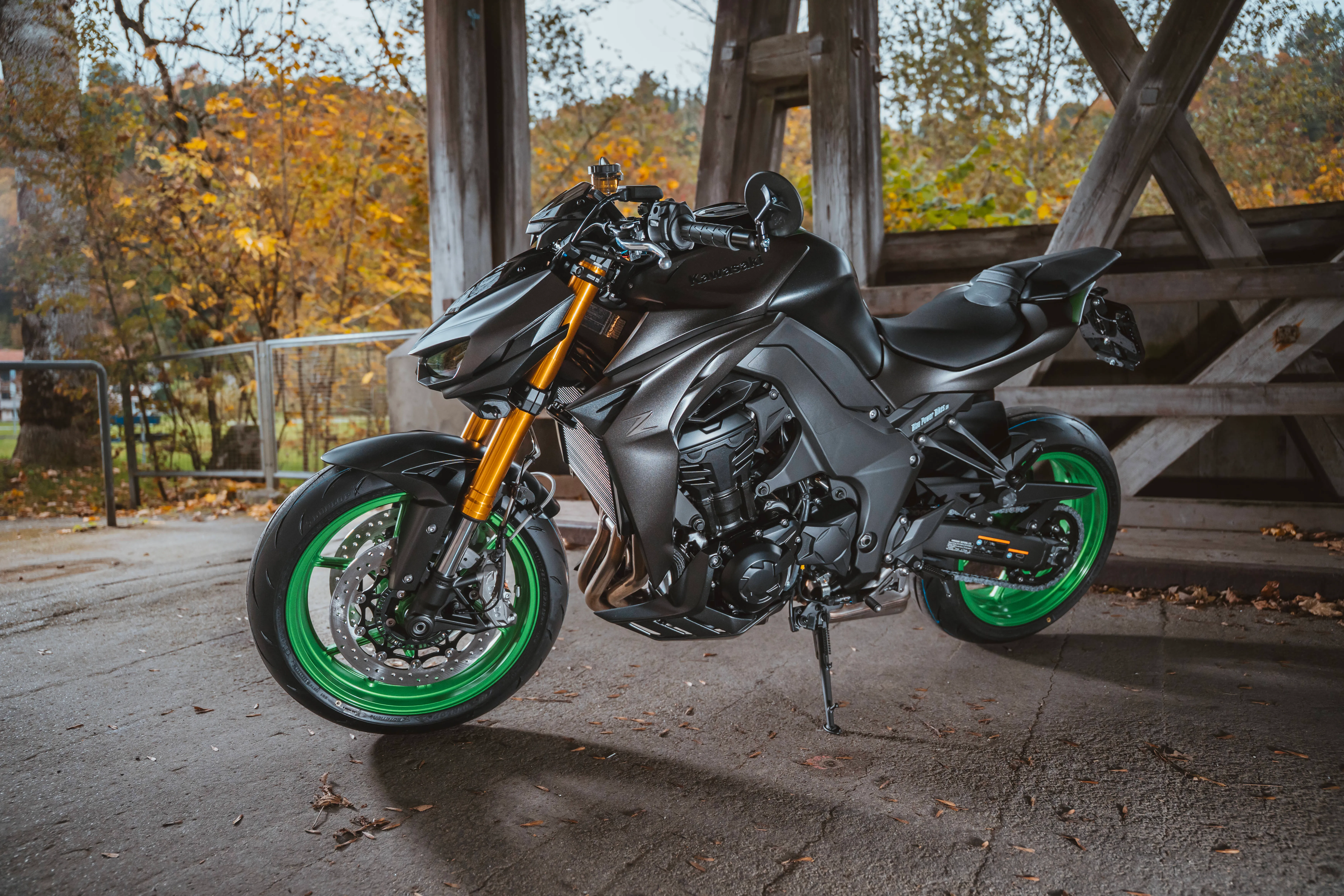Z1100 SE / Just for Fun
