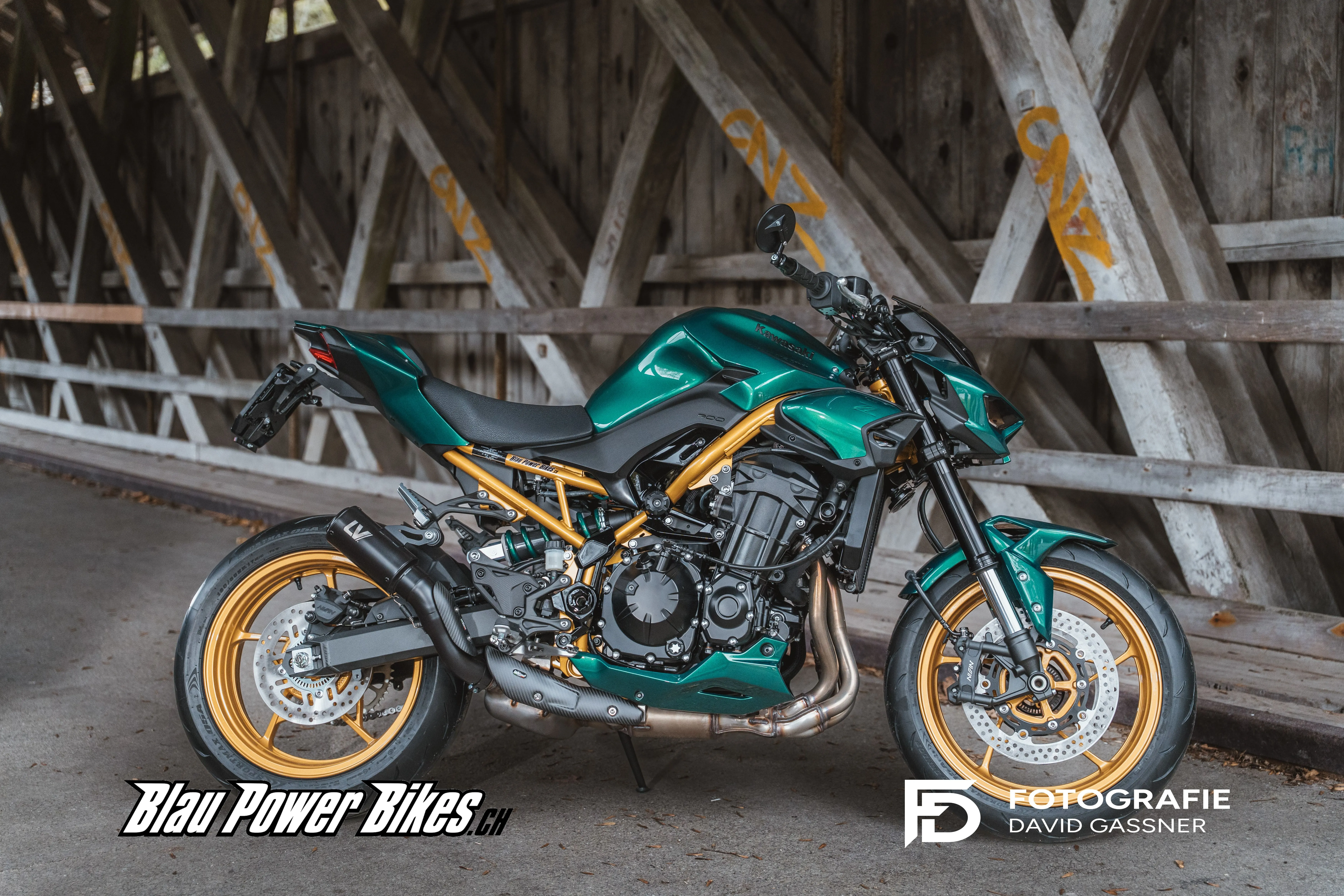 Z900 / MY26 Golden-Green