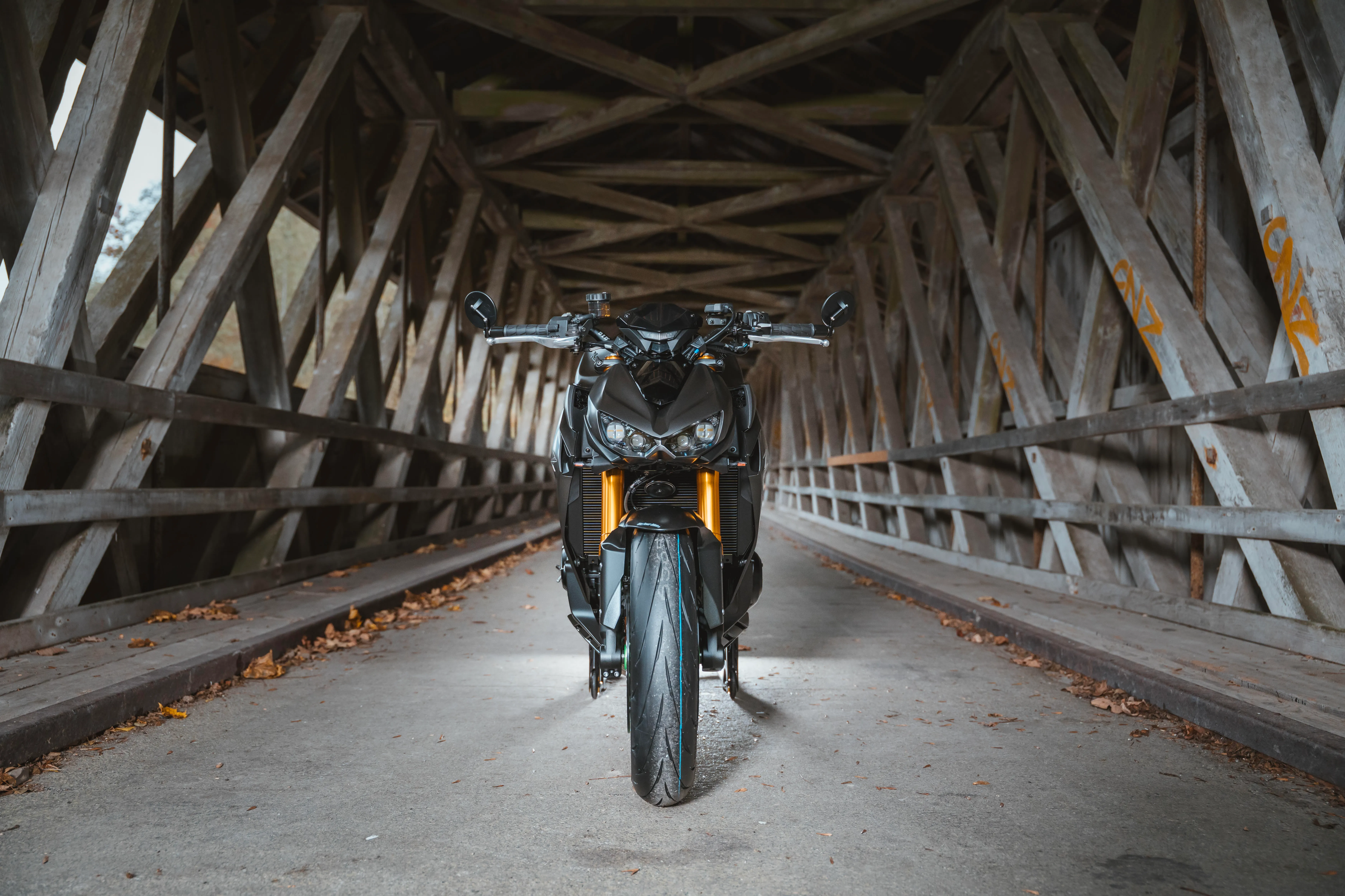 Z1100 SE / Just for Fun