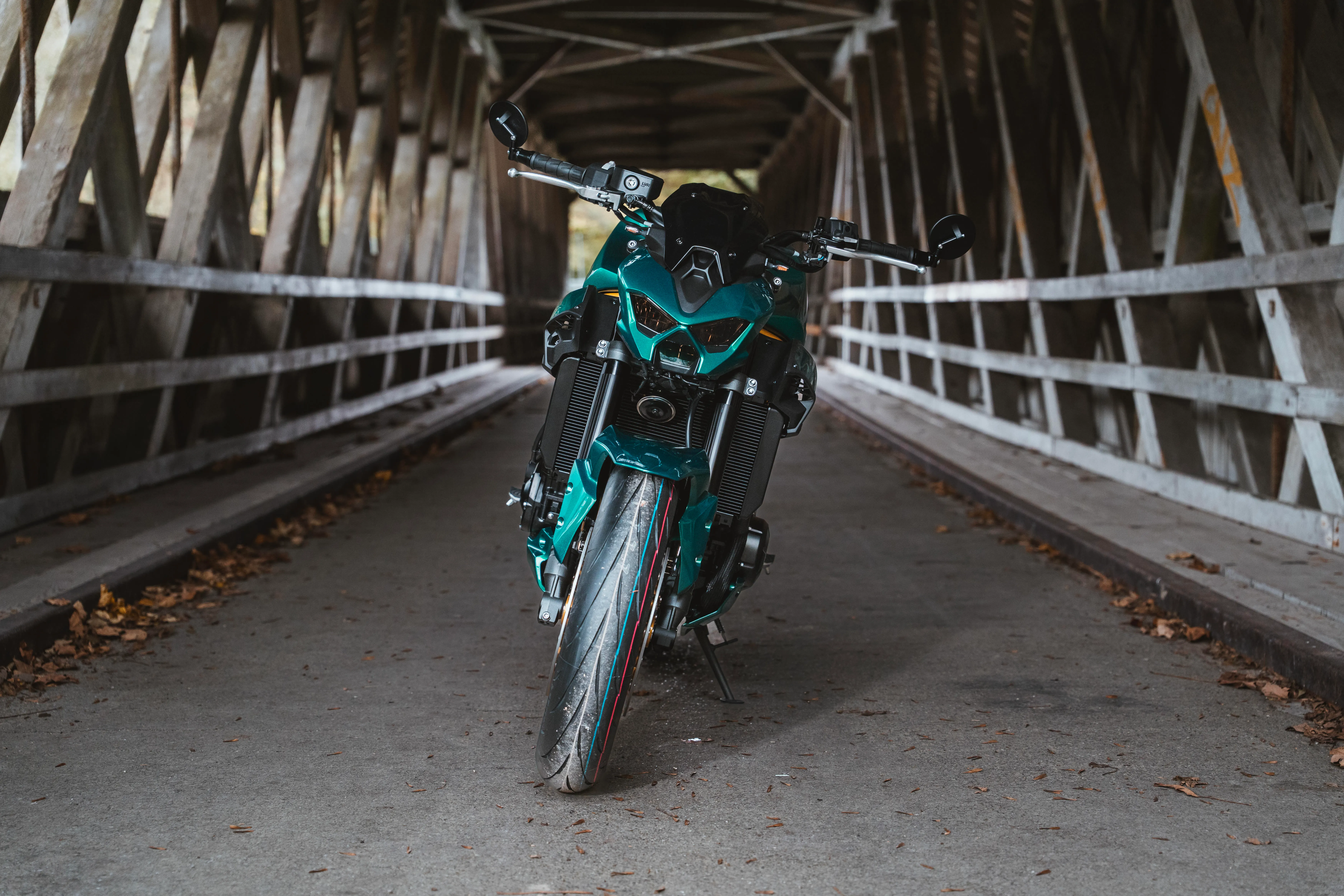 Z900 / MY26 Golden-Green