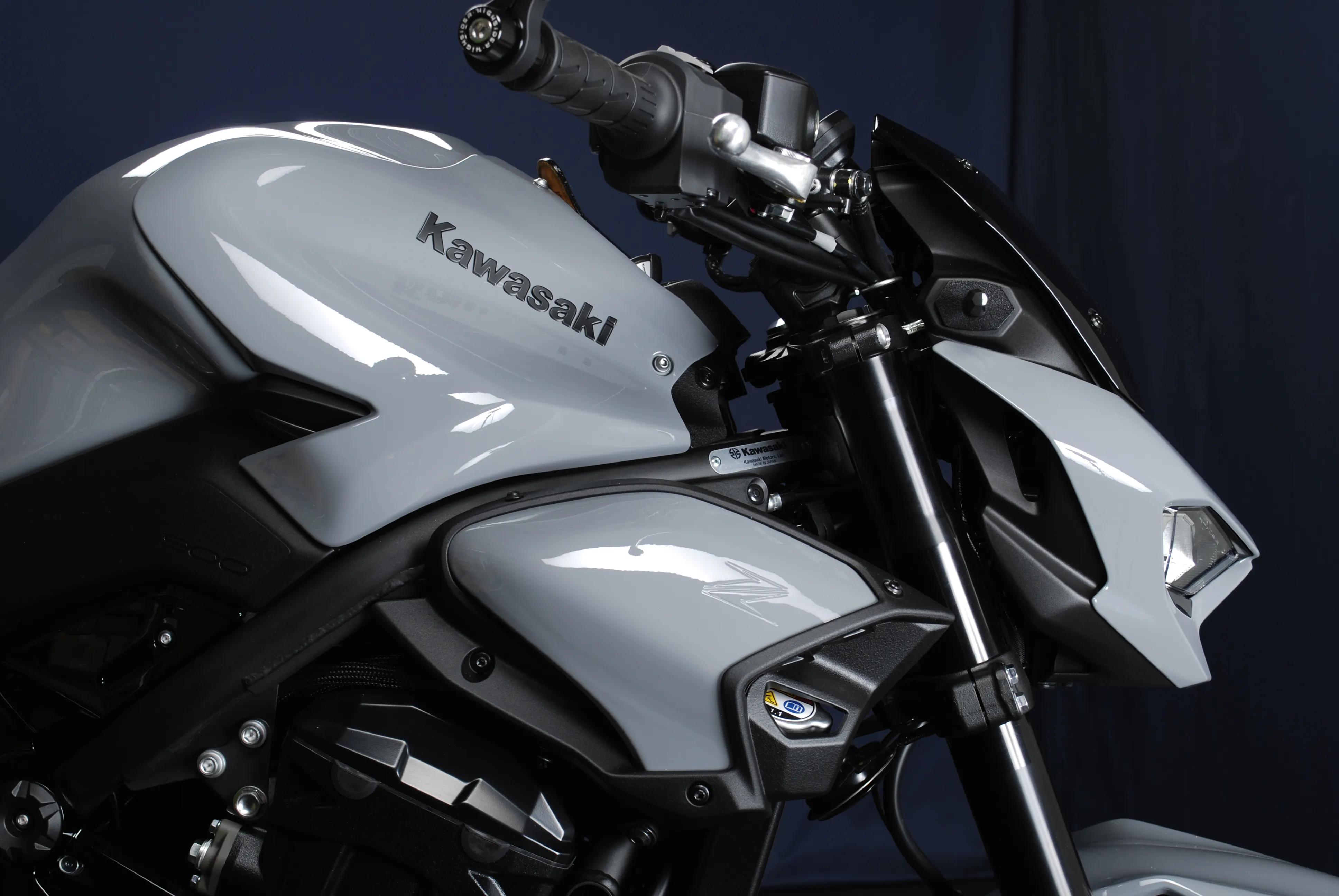 Z900 / MY25 Grau